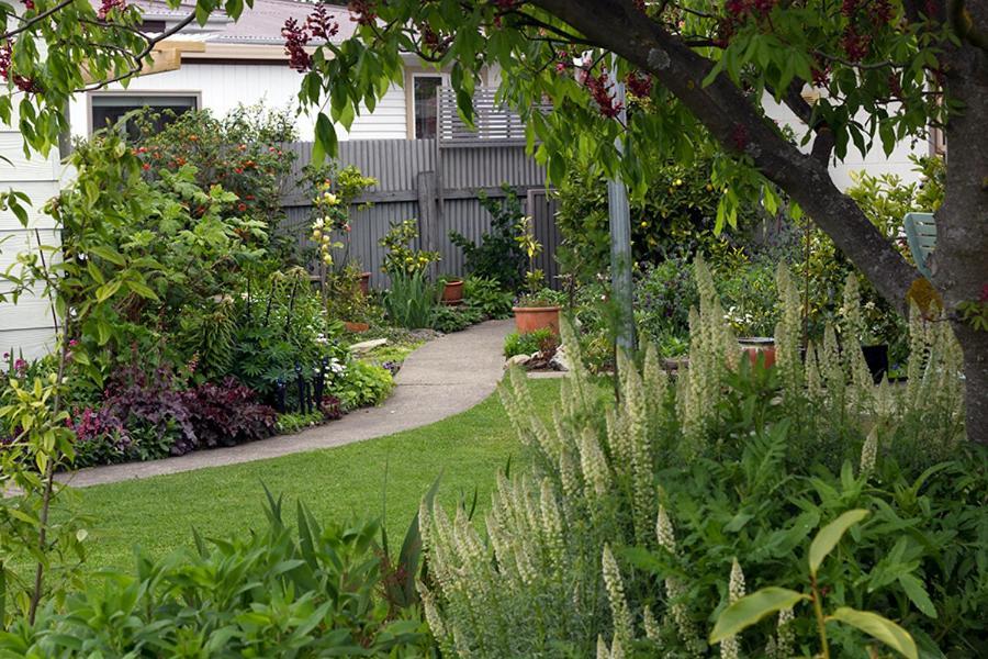 Magnolia House Bed and Breakfast Blenheim Buitenkant foto