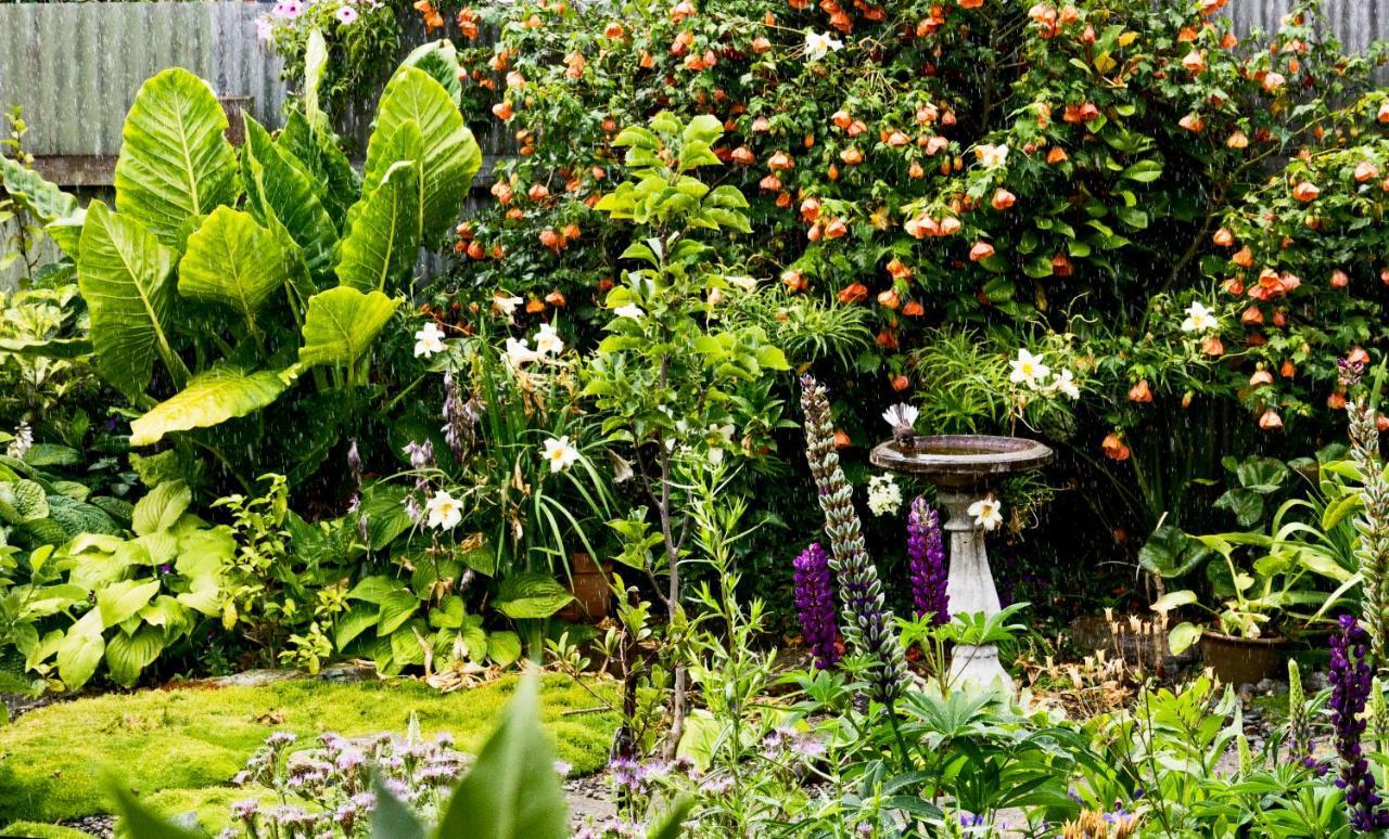 Magnolia House Bed and Breakfast Blenheim Buitenkant foto