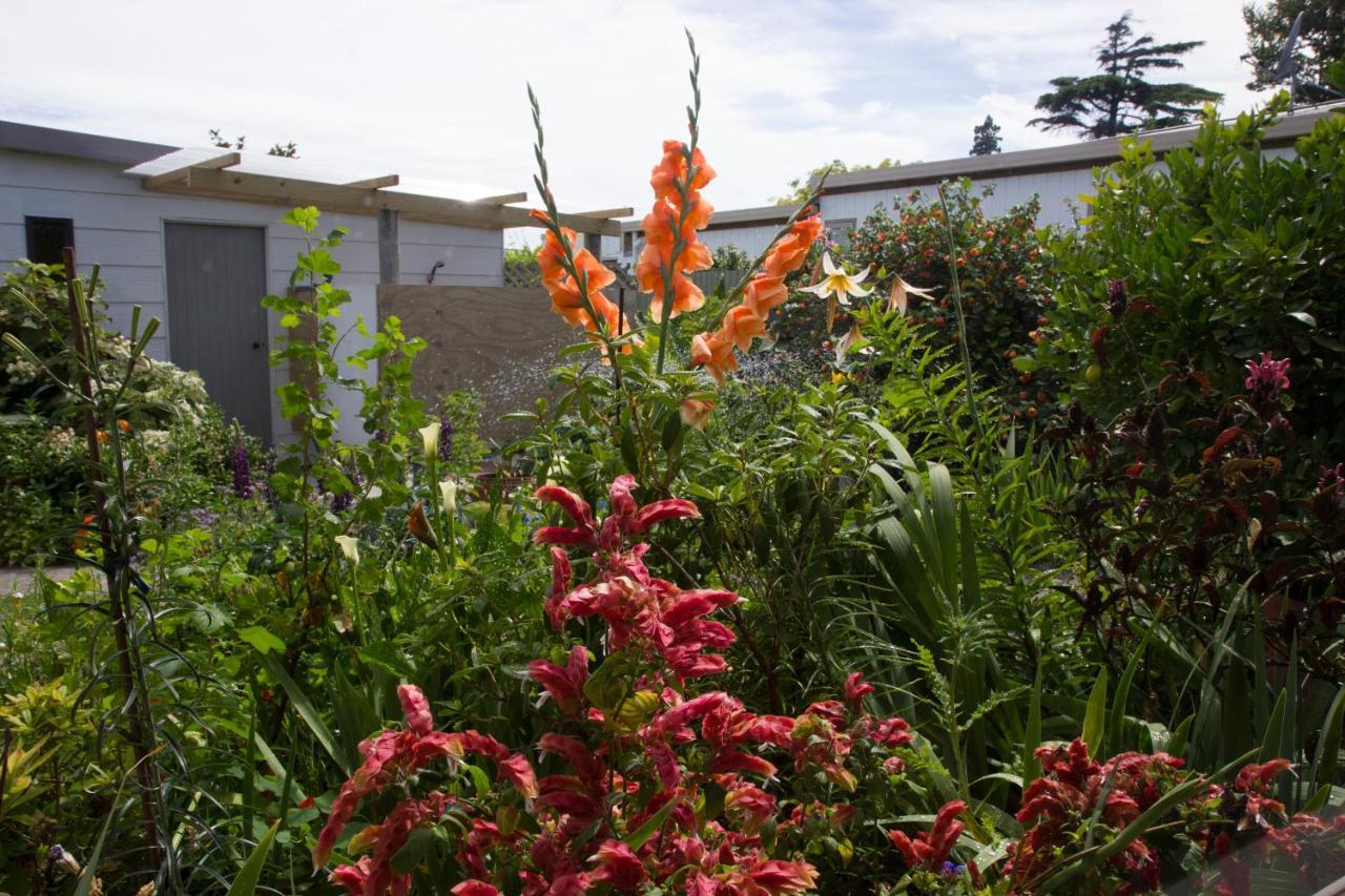 Magnolia House Bed and Breakfast Blenheim Buitenkant foto